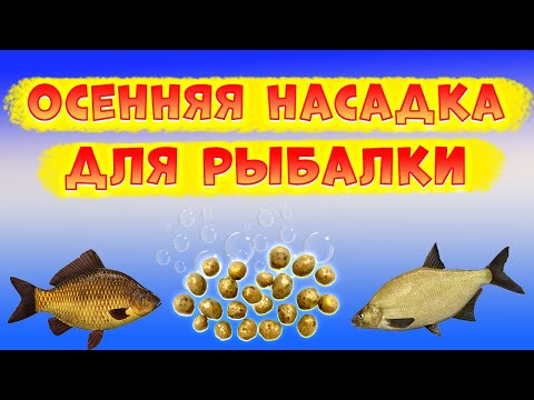 Видео: Насадка для рыбалки на КАРПА, КАРАСЯ, ЛЕЩА. Прочная, ароматная, уловистая.