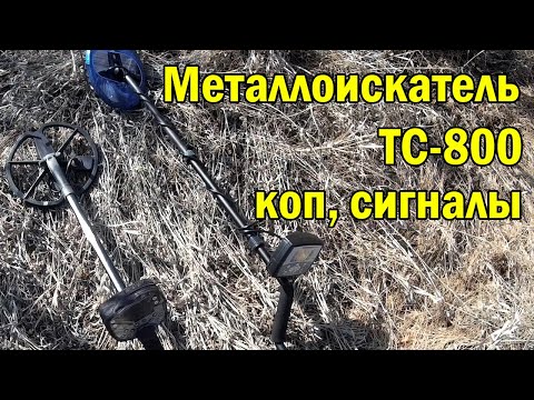 Видео: Металлоискатель TC-800 на реальном копе. Копия X-TERRA 705