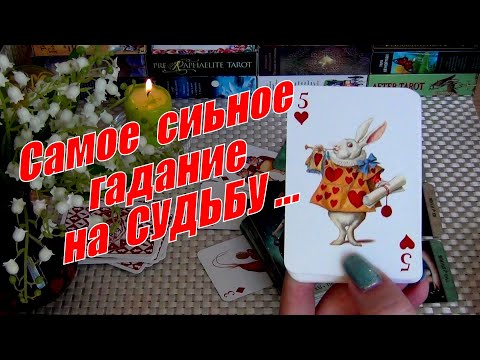 Видео: ⚡ЧТО К ВАМ ИДЕТ? ЧЕМ СЕРДЦЕ УСПОКОИТСЯ?⚡САМОЕ СИЛЬНОЕ ГАДАНИЕ НА СУДЬБУ❗🍀♥️ Гадание Таро