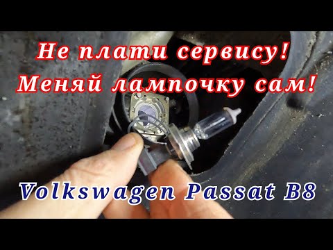 Видео: Как заменить лампочку в фаре VW Passat B8 без открытия капота? Лайфхак!