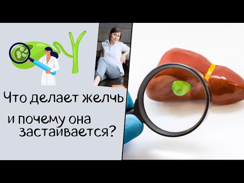 Видео: Что делает желчь в организме, и почему она застаивается? Функции желчи.