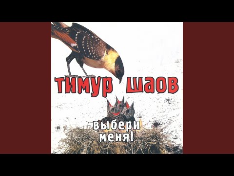 Видео: Чему нас жизнь учит
