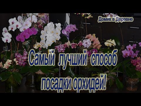 Видео: Самый лучший способ посадки орхидей  Фаленопсис  Часть 1!Закрытая система!