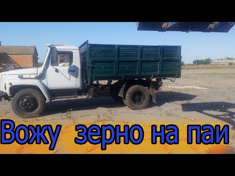 Видео: Газ 4301 Дизель самосвал.Развожу пшеницу на паи. МТЗ 80 . Скоро уборка....
