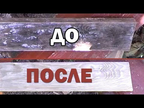 Видео: Как убрать плесень грибок с сосны с дерева