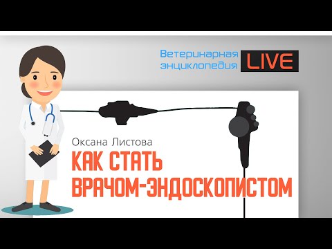 Видео: Как стать врачом-эндоскопистом