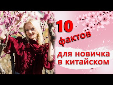 Видео: Это нужно знать, перед тем как начать изучать китайский | Школа Китайского | Twins Chinese