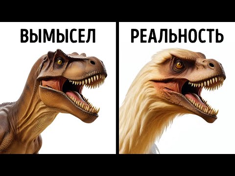 Видео: 80 повседневных мифов, в которые мы все еще верим
