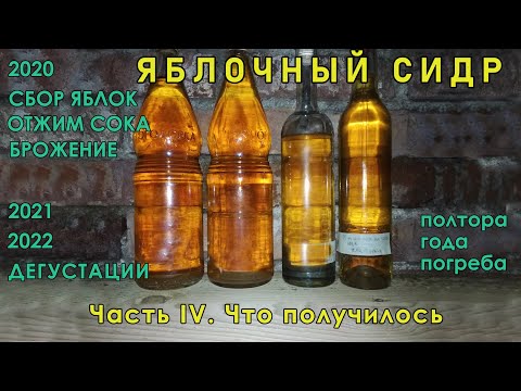 Видео: Яблочный сидр. Часть IV. Что получилось
