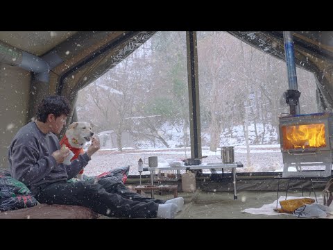 Видео: Снежный отдых: душевный поход с моей собакой 🏕⛄