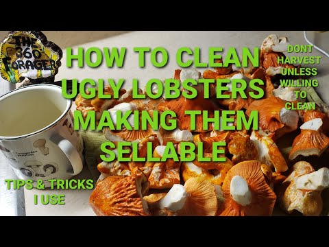 Видео: Как я чищу лобстеров #еда