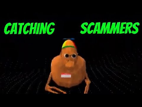 Видео: ловим мошенников в компании животных!