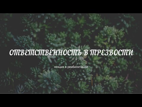 Видео: Ответственность в трезвости: Как это работает?