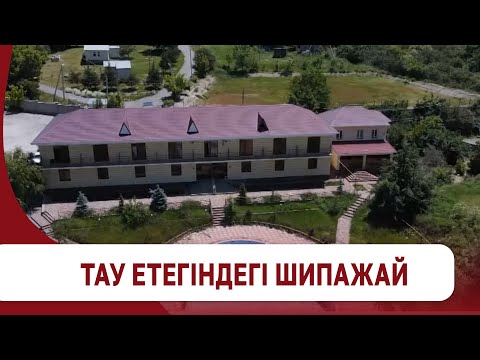 Видео: Тау етегіндегі шипажай