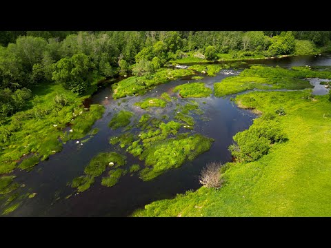 Видео: "ВОЗВРАЩЕНИЕ В ГОЛАВЛИНОЕ ЛЕТО 2023: июнь на супер живописном перекате"