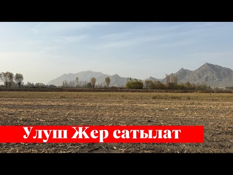 Видео: Өтө зор 90 сотых Үлүш Жер сатылат. Суу бар. Документи так ✅✅