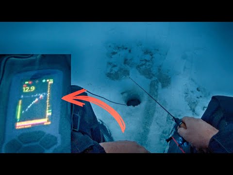 Видео: СЕЙЧАС ШАРАХНЕТ ИЛИ ПОДСЕЧКА В ТЕМНОТЕ!!! Рыбалка на берша и окуня. Ловля берша на балансир.