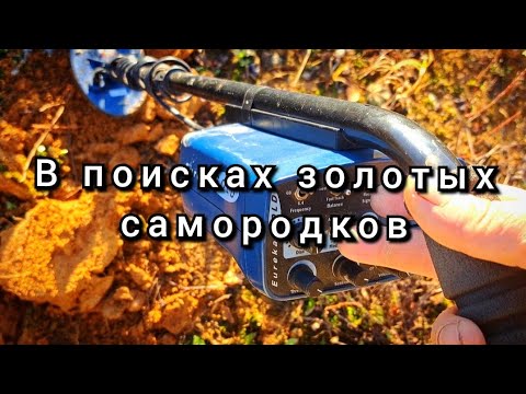 Видео: В поисках золотых самородков