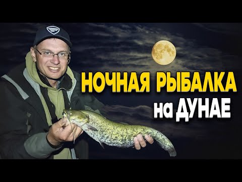 Видео: Ночная рыбалка на Дунае под вой койотов! Дядя Фёдор на берегу, а Серёга на барже!