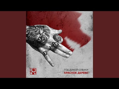 Видео: До талого