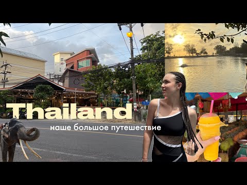 Видео: vlog: улетели на Пхукет🪷🌴 слоны, манго-шейки, обезьяны, море и кокосовые пальмы