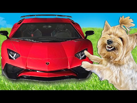 Видео: КОРОЧЕ ГОВОРЯ построил ЛАМБОРГИНИ для ЗЛОГО ПСА !