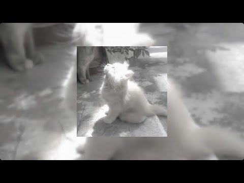 Видео: Плейлист с Lida🐥30 минут
