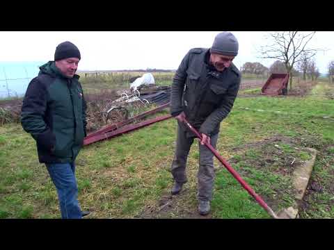 Видео: ЕДЕМ В ГОСТИ К САДОВОДУ ВЫСАЖИВАЕМ МАТОЧНИКИ ПОДВОЕВ