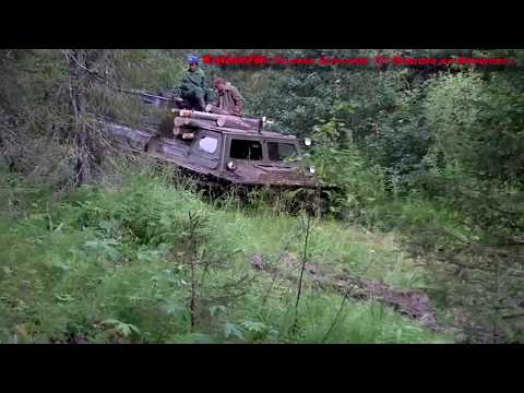 Видео: По реке Золотица . От Исандова до Исандово....