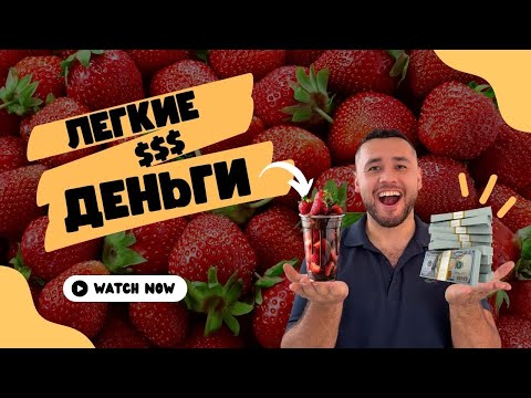 Видео: Клубника в шоколаде. Самый легкий способ заработать $3,000 за weekend. Часть 2.