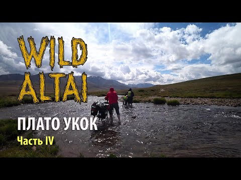 Видео: Алтай. Велопутешествие на Плато Укок. Часть 4