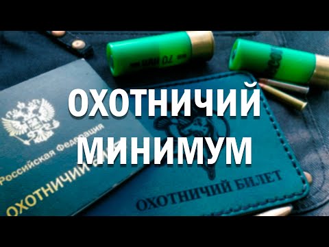Видео: Новые поправки для охотников и владельцев оружия в 2025 году| Что важно знать?