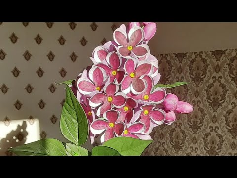 Видео: Сирень из  изолона/бузок з ізолону частина 1