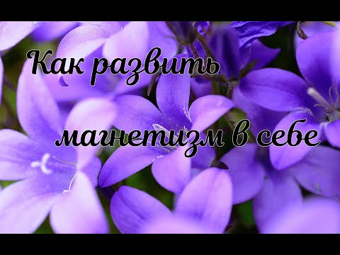 Видео: Как развить магнетизм в себе