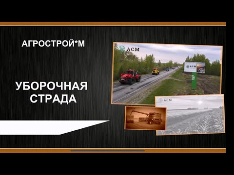 Видео: Уборочная страда 🌾