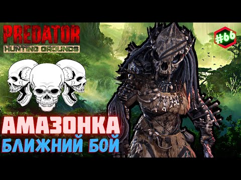 Видео: Predator Hunting Grounds ➤ АМАЗОНКА ближний бой ➤ ОХОТА #66 #predator