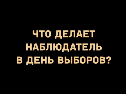 Видео: Работа наблюдателя на выборах
