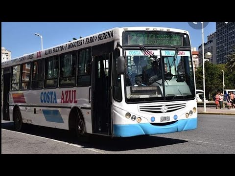 Видео: Всё про автобусы в Mar del Plata Argentina