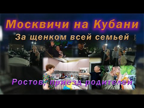 Видео: Ейск//ШОК! Приехали за щенком всей семьей!//Встреча родителей//Прогулка по Ростову на Дону