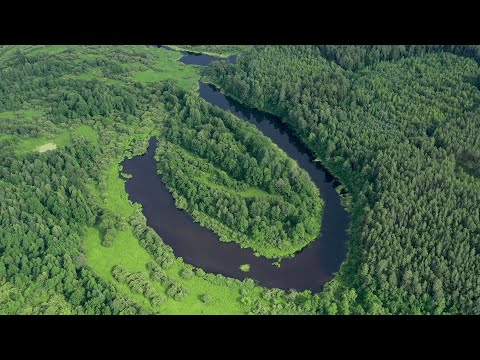 Видео: Щука топит кружок на староречьи! Здесь разбили Наполеона!