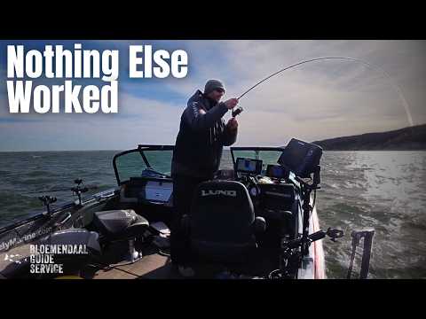 Видео: ЛОВКОСТЬ Ловля судака на джиг при СИЛЬНОМ ВЕТРЕ (невозможно?)