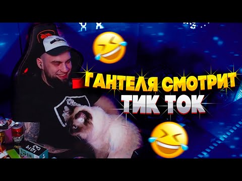 Видео: СМЕШНАЯ РЕАКЦИЯ ВЛАДА ГАНТЕЛИ НА ТИК ТОК! СМЕШНЫЕ МОМЕНТЫ