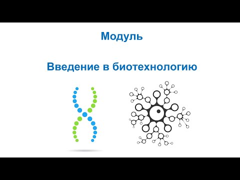 Видео: Введение в биотехнологию. Курс Биотехнологические подходы в пищевом и фармацевтическом производстве