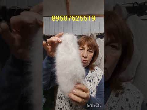 Видео: 9 сентября 2025 г.