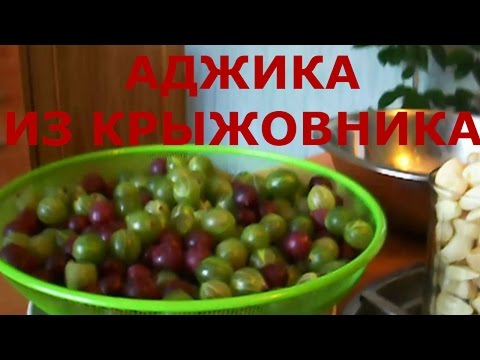 Видео: Аджика из Крыжовника с Чесноком / ВИДЕОРЕЦЕПТ.