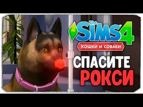 Видео: СПАСИТЕ РОКСИ! - The Sims 4 "Кошки и Собаки" ▮