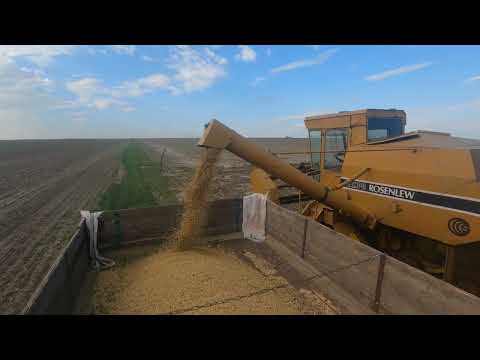 Видео: Сампо-500, домолочуємо сою-лободу )))