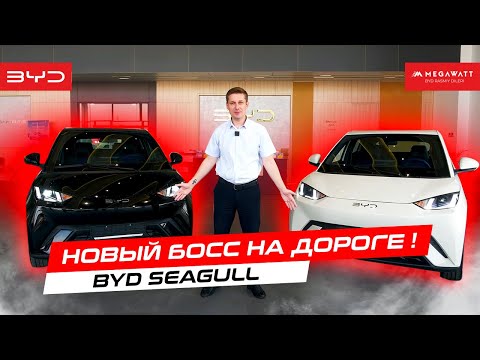 Видео: Новый БОСС на дороге! BYD SEAGULL