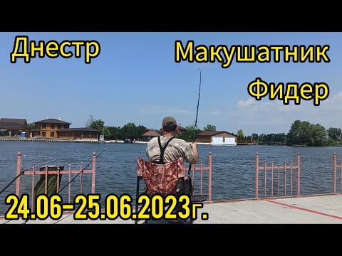 Видео: Днестр.Рыбалка на макушатники 24.06-25.06.2023г.Старый порт подтопило.#днестр #рыбалка #макушатник