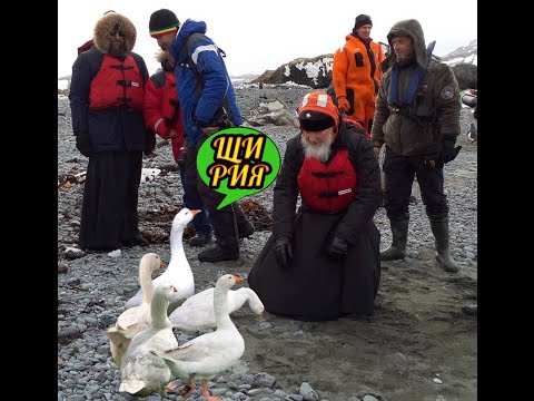 Видео: КАК ПАТРИАРХ КИРИЛЛ АЛЬБЕРТУ ДОНАТИЛ[≈165k ДОНАТ ЗА СТРИМ] #ＯＫＲＥＳＨＥＮ